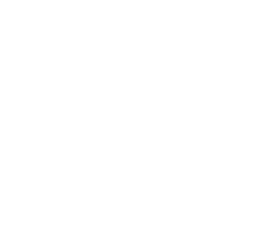 Argos Consultoria Internacional